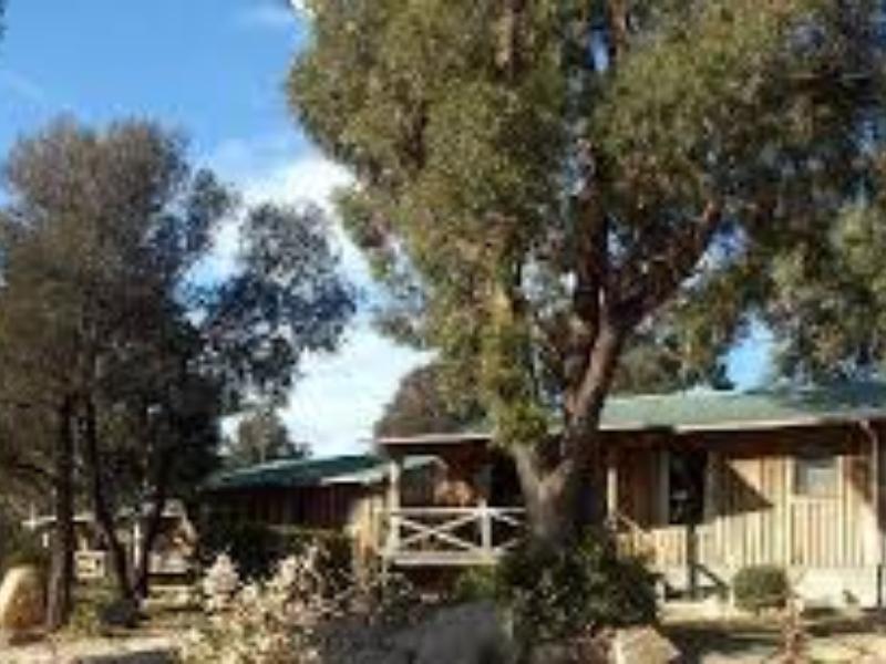 Big4 Iluka On Freycinet Coles Bay Exterior foto
